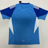 25-26 Man Utd Blue Goalkeeper Fans Soccer Jersey