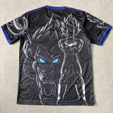 25-26 Japan Special Edition Fans Soccer Jersey (贝吉塔)