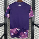 25-26 Lille Purple Fans Soccer Jersey
