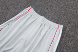 25-26 Bayern Grey Training Short Suit #D25128