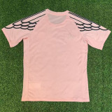 25-26 PSG Pink Special Edition Fans Training shirts