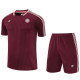 25-26 Bayern Jujube red Training Short Suit