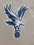 25-26 Crystal Palace Away Player Version Soccer Jersey