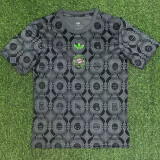25-26 Bayern Grey Special Edition Training shirts
