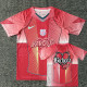 25-26 BAR Pink Concept Edition Training shirts (KA前后图)