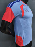 26-27 Japan Grey Player Version Training shirts