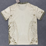 25-26 Brazil Gold Special Edition Training shirts