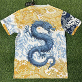 25-26 Porto Special Edition Training shirts (蓝龙)