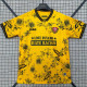 25-26 Dynamo Dresden Special Edition Fans Soccer Jersey
