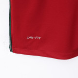 2016 Portugal Home Retro Soccer Jersey