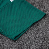 25-26 AD Green Player Version Training Short Suit (球员短套装)#D2506
