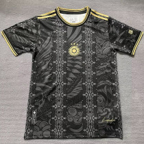 25-26 Argentina Black Gold Special Edition Training shirts