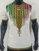26-27 Mali Home Player Version Soccer Jersey (吊花图)