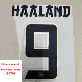 25-26 Man City Special Edition Player Version Soccer Jersey (马年)