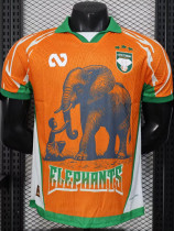 25-26 Ivory Coast Orange Special Edition Player Version Soccer Jersey