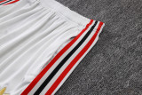 25-26 Flamengo Light gray Half Pull Tracksuit #B25129(半拉链)