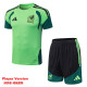 26-27 Mexico Green Player Version Training Short Suit (球员短套装)#D2603