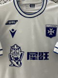 25-26 Auxerre Home Fans Soccer Jersey