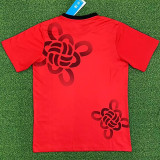 25-26 Man Utd Red Special Edition Training shirts (春节版)