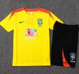 25-26 Brazil Yellow Training Short Suit #D25254