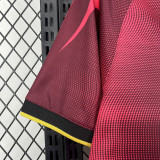 25-26 Venezia FC Brown Red Training shirts