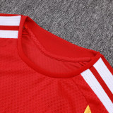 26-27 Germany Red Player Version Training Short Suit (球员短套装)#D2603