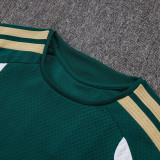 26-27 Italy Green Player Version Training Short Suit (球员短套装)#D2603