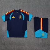 26-27 Spain Royal blue Training Short Suit
