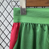 26-27 Morocco Green Player Version Shorts Pants(球员短裤)