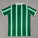 25-26 Aston Villa Green Special Edition Fans Soccer Jersey