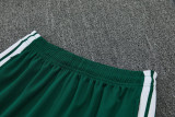 26-27 Algeria Green Training Short Suit