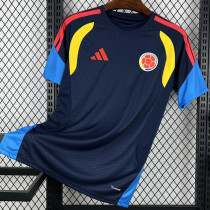 26-27 Colombia Royal blue Training shirts