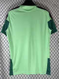 26-27 Mexico Fluorescent Green Fans Training shirts