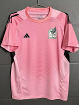 26-27 Mexico Pink Fans Goalkeeper Soccer Jersey