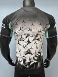 2026 AD-Ben Grey Player Version Soccer Jersey
