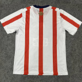 2026 Chivas Guadalajara 120th Anniversary Fans Soccer Jersey