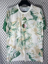 26-27 Algeria Green Yellow White Training shirts
