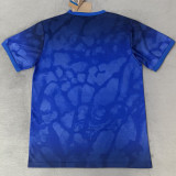26-27 Brazil Blue Special Edition Training shirts (飞人标)