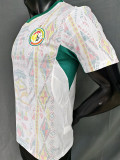 26-27 Senegal Home Player Version Soccer Jersey