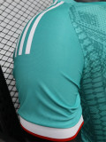 26-27 Algeria Green Special Edition Player Version Training shirts