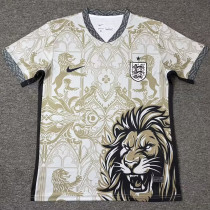 26-27 England Khaki Special Edition Training shirts (狮)