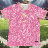 26-27 Brazil Pink Special Edition Fans Training shirts (小鹦鹉标 )
