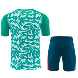 26-27 Portugal Green Training Short Suit