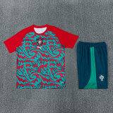 26-27 Portugal Red Green Training Short Suit