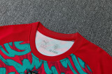 26-27 Portugal Red Green Training Short Suit