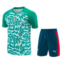 26-27 Portugal Green Training Short Suit