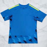 26-27 Spain Blue Goalkeeper Fans Soccer Jersey (2星)