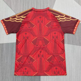 26-27 PSG Brown Special Edition Fans Training shirts