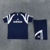 2026 AD17 Royal blue Training Short Suit