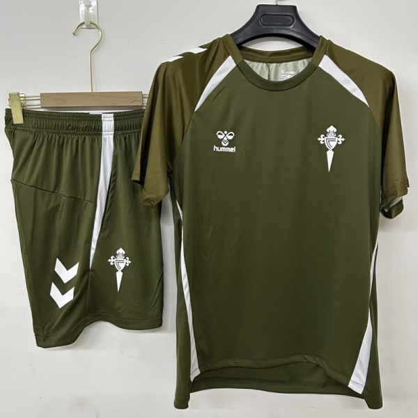26-27 Celta Grey Training Short Suit